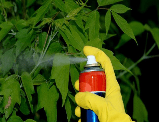 殺蟲劑消泡劑應用場景圖